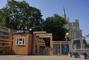 Альпака Парк в Московском зоопарке — уникальный контакт с редкими животными