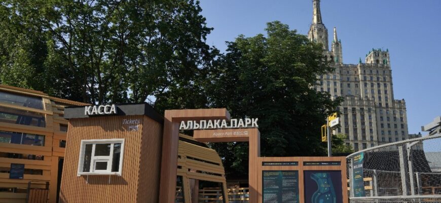 Альпака Парк в Московском зоопарке