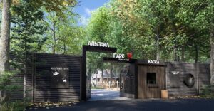 Альпака Парк в Сокольниках — уникальное общение с альпака в Москве