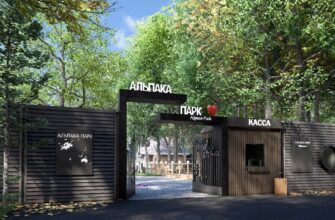 Альпака Парк в Сокольниках — уникальное общение с альпака в Москве
