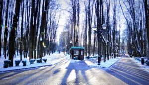 Бабушкинский парк — фото 5