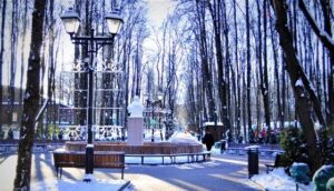 Бабушкинский парк — фото 8