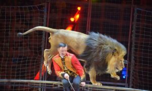 Большой Московский цирк на проспекте Вернадского — фото 5