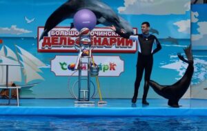 Большой Сочинский Дельфинарий — фото 4