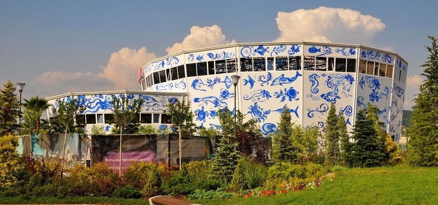 Дельфинарий в «Сочи Парке»