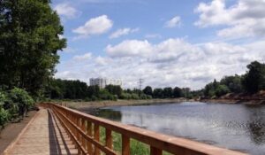 Джамгаровский парк: природное уединение на севере Москвы