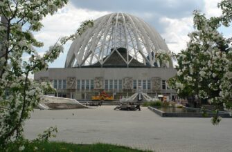 Екатеринбургский цирк: магия и радость для всей семьи в Екатеринбурге