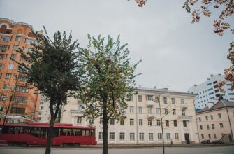 Галерея-студия Ильдара Зарипова в Казани: искусство для детей и взрослых