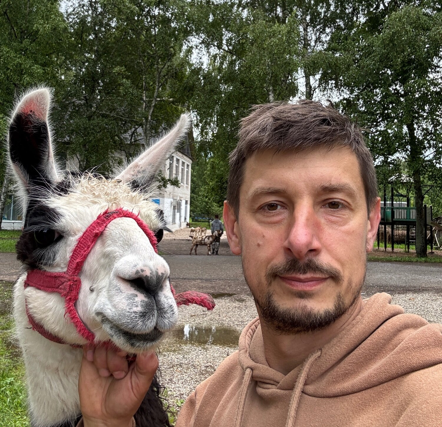 Ната