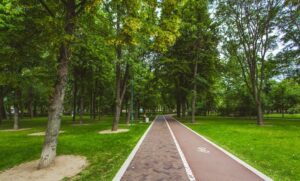 Гончаровский парк — фото 6