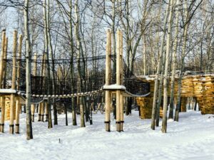 Горкинско-Ометьевский лес — фото 3
