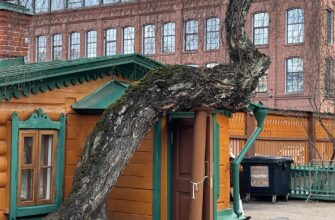 Хамовники и Девичье поле: старинные улицы и модная Москва