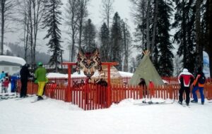 Хаски-центр — фото 3