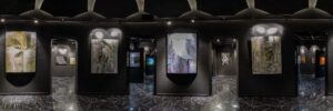 Художественная галерея «Rohini gallery» на Б. Академической — фото 3