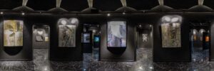 Художественная галерея «Rohini gallery» в Барвихе — фото 4