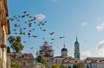 Оптина пустынь и Шамордино: культовые святыни Калужской области