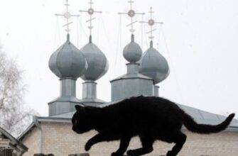 Леденящие кровь мифы, легенды и трагедии старинной Москвы