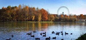 Измайловский парк — фото 3