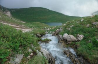 Кавказский биосферный заповедник в Сочи: природа и уникальность