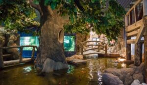 Казанский океанариум — фото 3