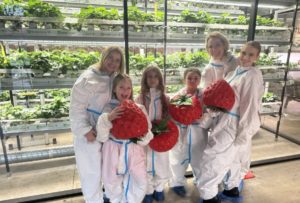 Клубничная ферма «City Ferma» в Санкт-Петербурге — ягоды круглый год
