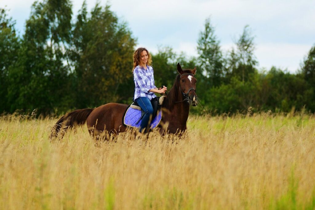 Конный клуб Western Horse