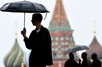 Куда пойти в Москве в дождь: идеи для плохой погоды — музеи, галереи и крытые прогулки