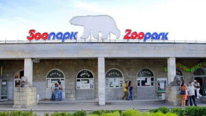 Ленинградский зоопарк: живое сердце Санкт-Петербурга