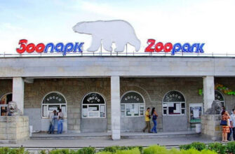 Ленинградский зоопарк: живое сердце Санкт-Петербурга