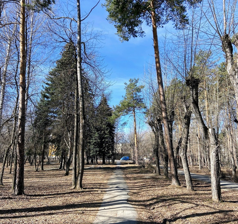 Летний парк Уралмаш 2.0