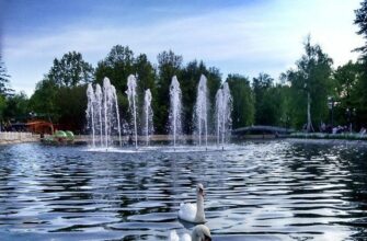 Лианозовский парк – зеленый оазис с развлечениями и природой в Москве