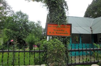 Музей чая и Автомотостарины в Сочи: уникальное путешествие в историю