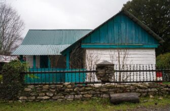 Музей русского чая в Сочи: история и традиции чая