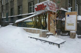 Музей «Сибирская береста» в Новосибирске: искусство и традиции бересты