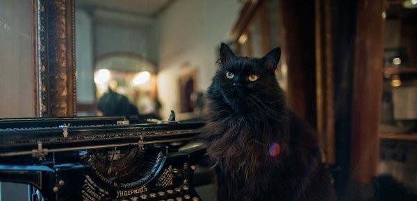 Музей-театр «Булгаковский Дом»