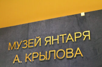 Музей янтаря Александра Крылова в Санкт-Петербурге: искусство и история