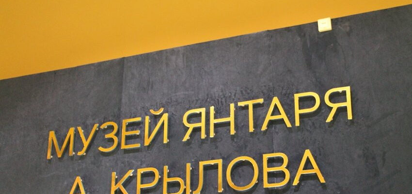 Музея янтаря Александра Крылова