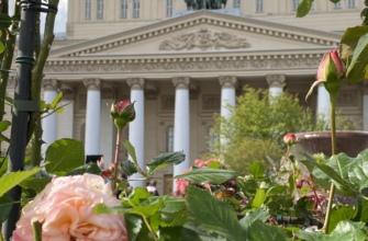 Нетеатральный подвиг театральных артистов