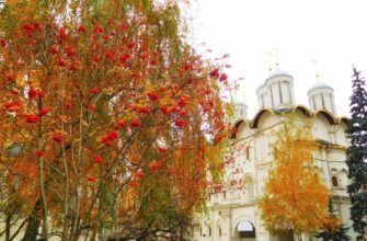 Екатеринбург: здесь жили, творили, любили
