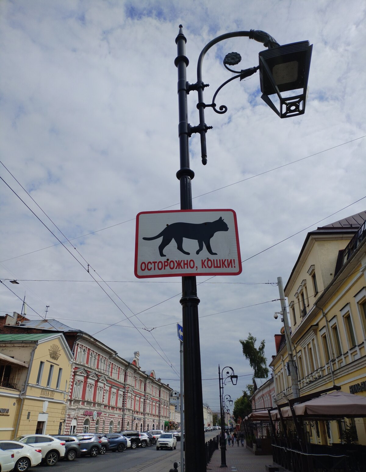Нижегородские мурлыки