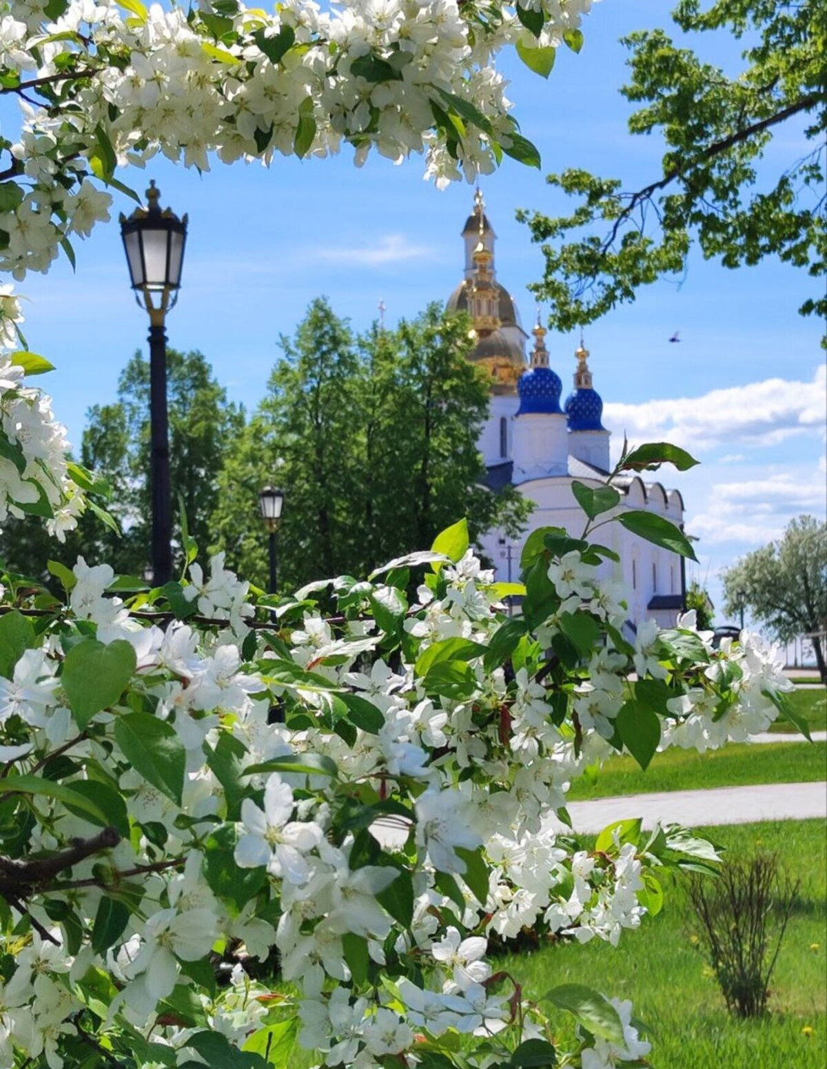 Тобольский вояж — экскурсия из Тюмени
