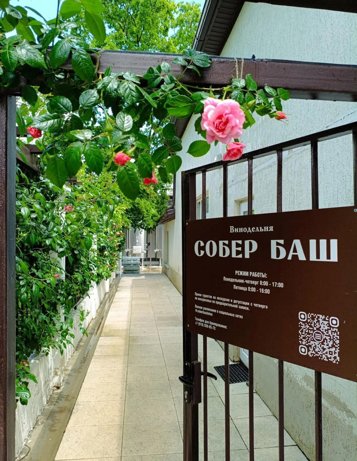 За видами и винами — на Собер Баш!