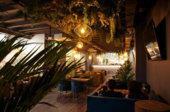 Бар Остров Lounge в Тропарево – уют и авторские коктейли в Москве