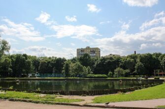 Парк «Дубки» в Москве: зелёный оазис с историей и уютом