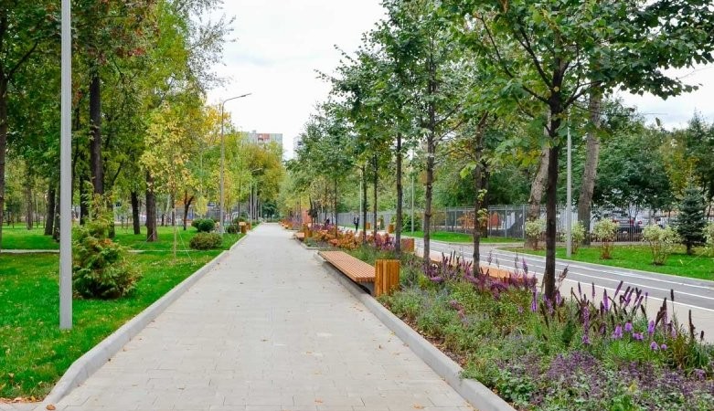 Парк «Фестивальный»