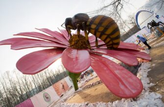 Парк гигантских насекомых на ВДНХ — уникальное приключение в мире миниатюрных созданий