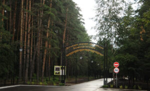 Парк имени Лесоводов Башкирии: зелёный оазис Уфы для всей семьи