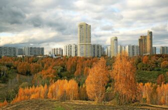Парк «Крылатские холмы»: зелёный оазис и спортивный комплекс в Западном округе Москвы