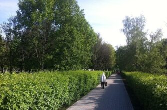 Парк «Печатники» — зеленое место на набережной Москвы-реки