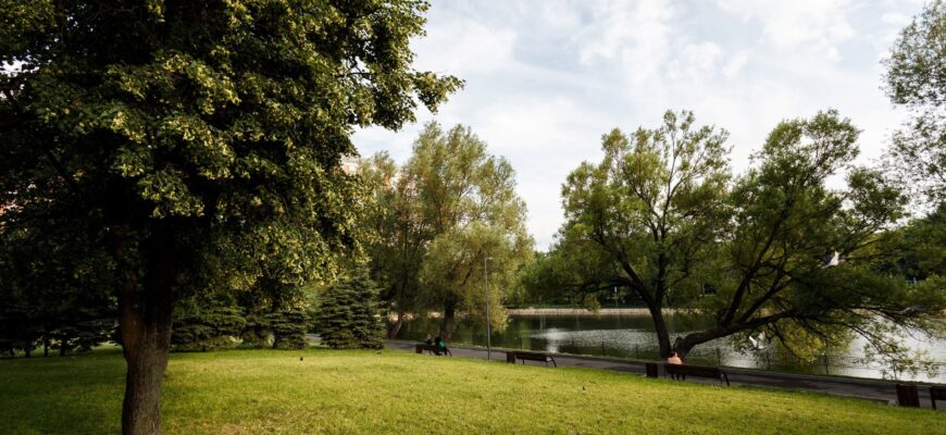 Парк «Перовский»